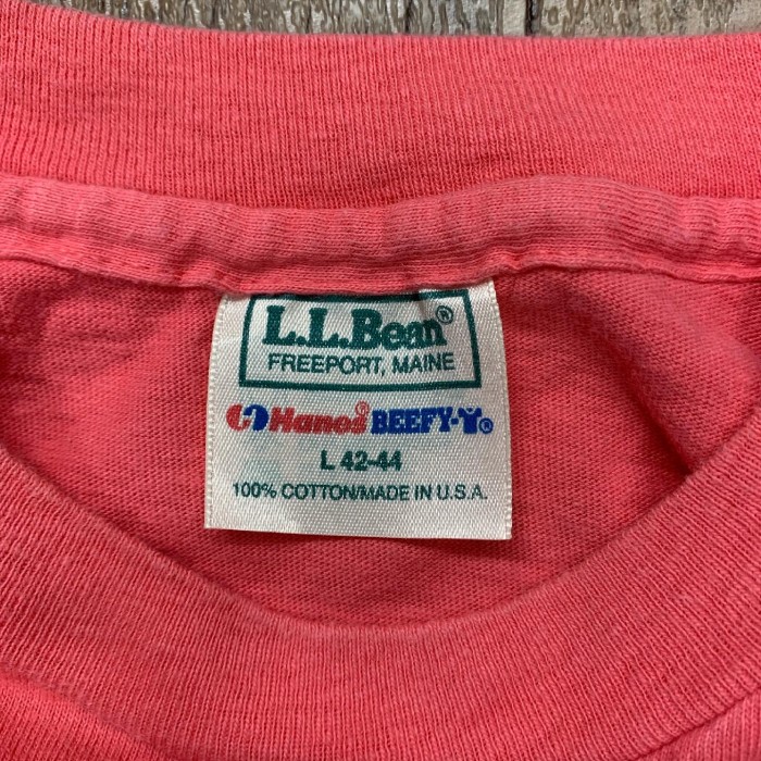 80'S LL Bean x Hanes シングルステッチ Tシャツ USA製 | Vintage.City