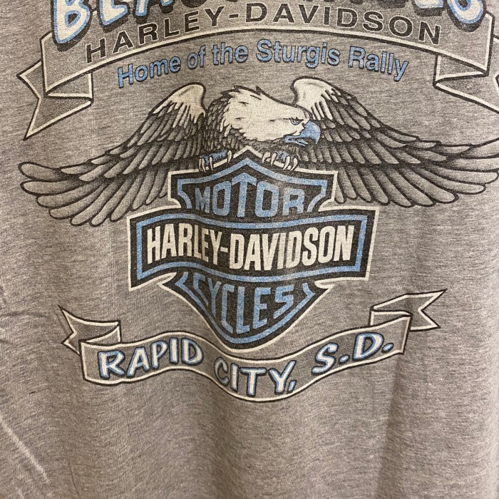 HARLEY DAVIDSON　BLACK HILLS　オリジナルTシャツ 　[ | Vintage.City 古着屋、古着コーデ情報を発信