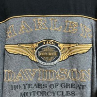 HARLEY DAVIDSON ロンT | Vintage.City 빈티지숍, 빈티지 코디 정보