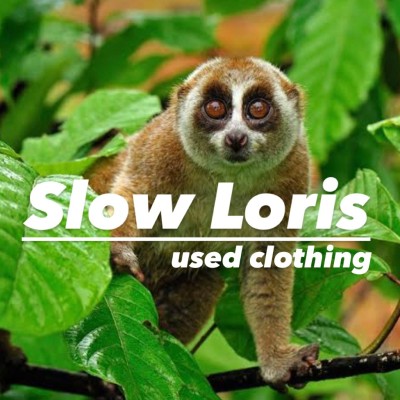 Slow Loris | Vintage Shops, Buy and sell vintage fashion items on Vintage.City