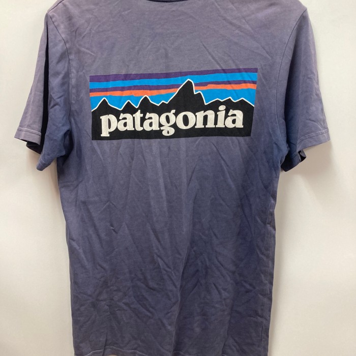 パタゴニア Tシャツ S-M | Vintage.City