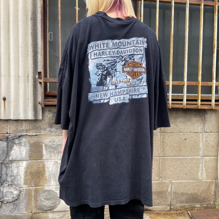 00年代 ハーレーダビッドソン ロゴプリント Tシャツ メンズ5XL | Vintage.City
