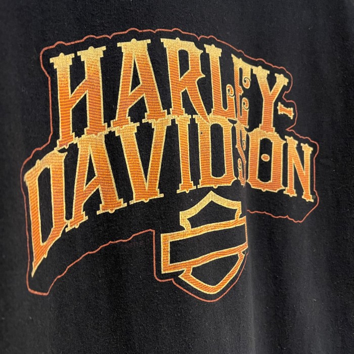 HARLEY-DAVIDSON hawk print ティシャツ | Vintage.City 빈티지숍, 빈티지 코디 정보