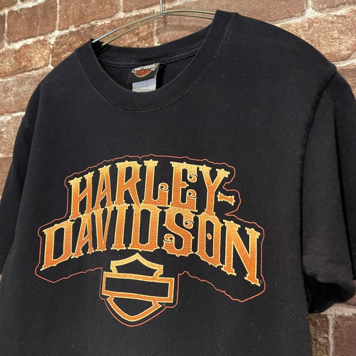 HARLEY-DAVIDSON hawk print ティシャツ | Vintage.City 古着屋、古着コーデ情報を発信