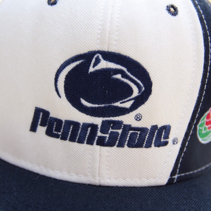 1990's Nutmeg Baseball Cap / Penn State | Vintage.City Vintage Shops, Vintage Fashion Trends