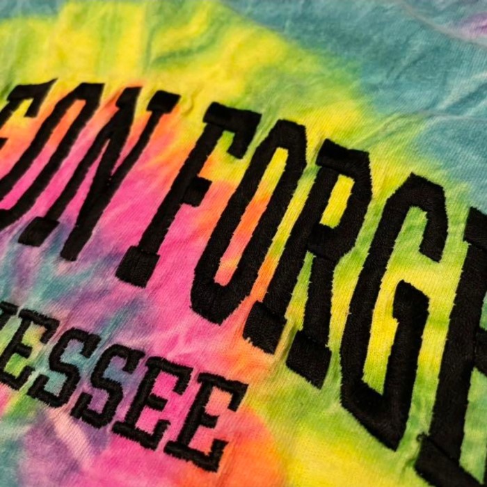 刺繍　Pigeon forge Tennessee　USA古着　Tシャツ　ロゴ | Vintage.City 빈티지숍, 빈티지 코디 정보