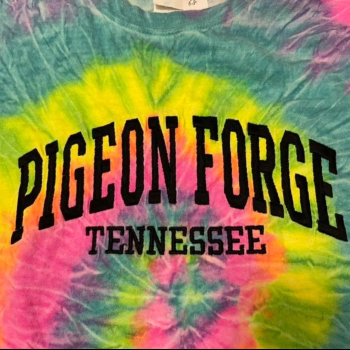 刺繍　Pigeon forge Tennessee　USA古着　Tシャツ　ロゴ | Vintage.City 古着屋、古着コーデ情報を発信