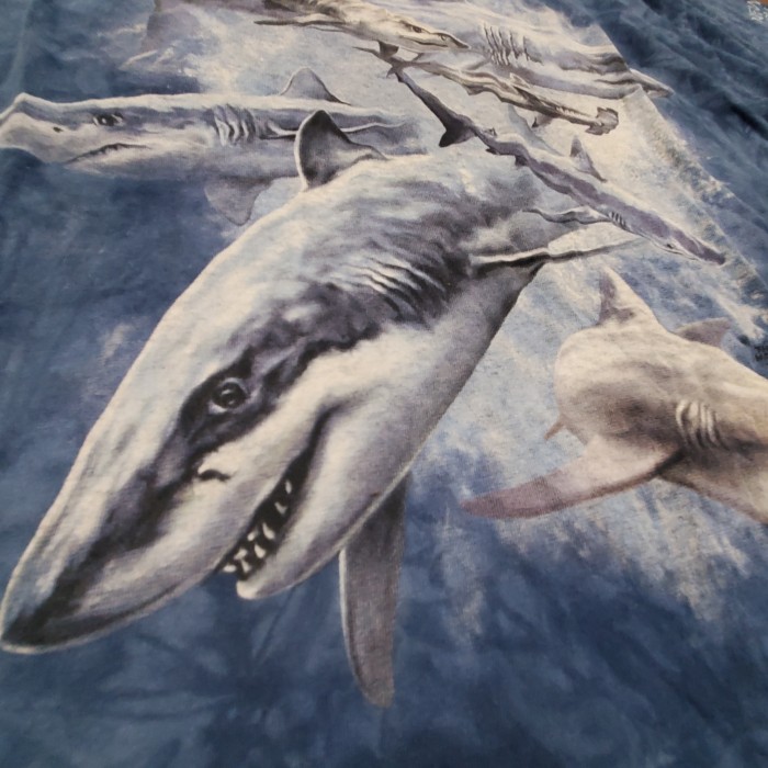 ザマウンテン　サメ　鮫　NY　水族館コラボ　USA古着　半袖Tシャツ　ティシャツ | Vintage.City 古着屋、古着コーデ情報を発信