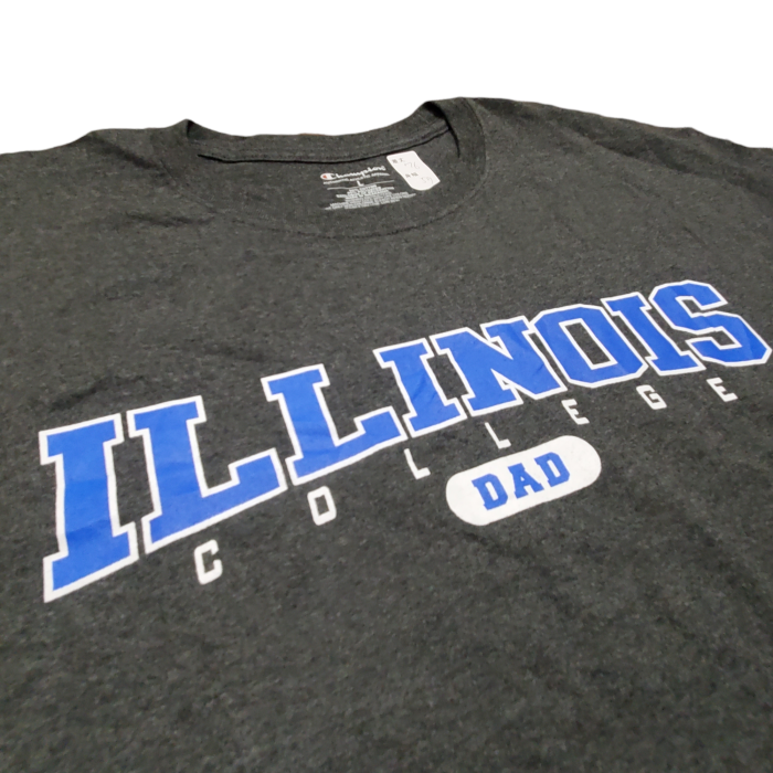 Champion　ILLINOIS　刺繍ロゴ　US古着　半袖Tシャツ　ティシャツ | Vintage.City 古着屋、古着コーデ情報を発信