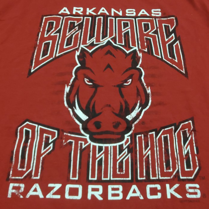 アーカンソー大学 Arkansas ビッグプリント USA古着 半袖Tシャツ | Vintage.City 古着屋、古着コーデ情報を発信