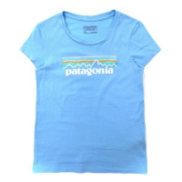PATAGONIA ロゴプリントTシャツ M ブルー コットン メキシコ製 | Vintage.City ヴィンテージ 古着