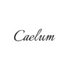 Caelum（フォロープレゼントイベント） | Vintage.City ヴィンテージショップ 古着屋
