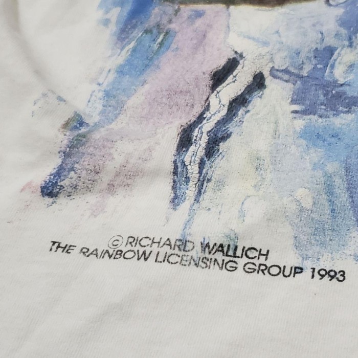 スーパーボウル NFL 90s  アートコラボ USA古着 半袖Tシャツ | Vintage.City 빈티지숍, 빈티지 코디 정보