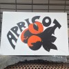 apricot | Discover unique vintage shops in Japan on Vintage.City