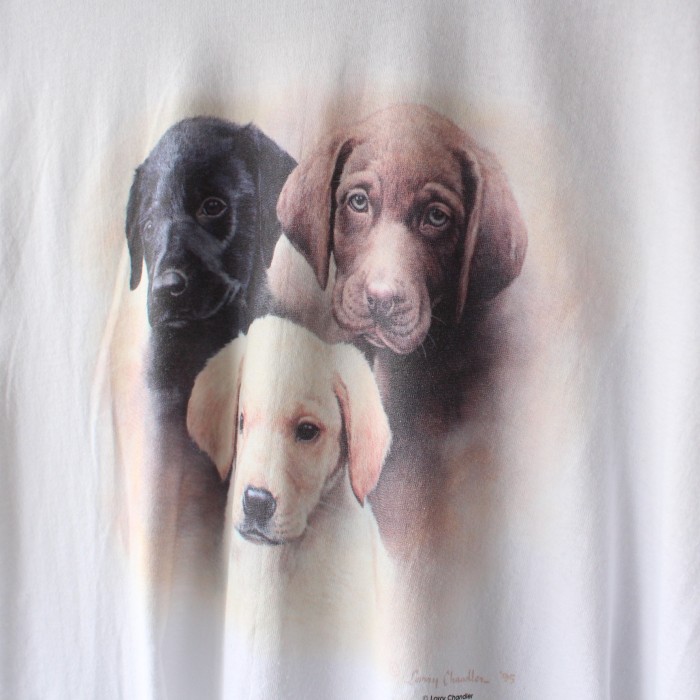 90's ONEITA "three dogs" Larry chandler 1996 IMPULSE | Vintage.City 古着屋、古着コーデ情報を発信