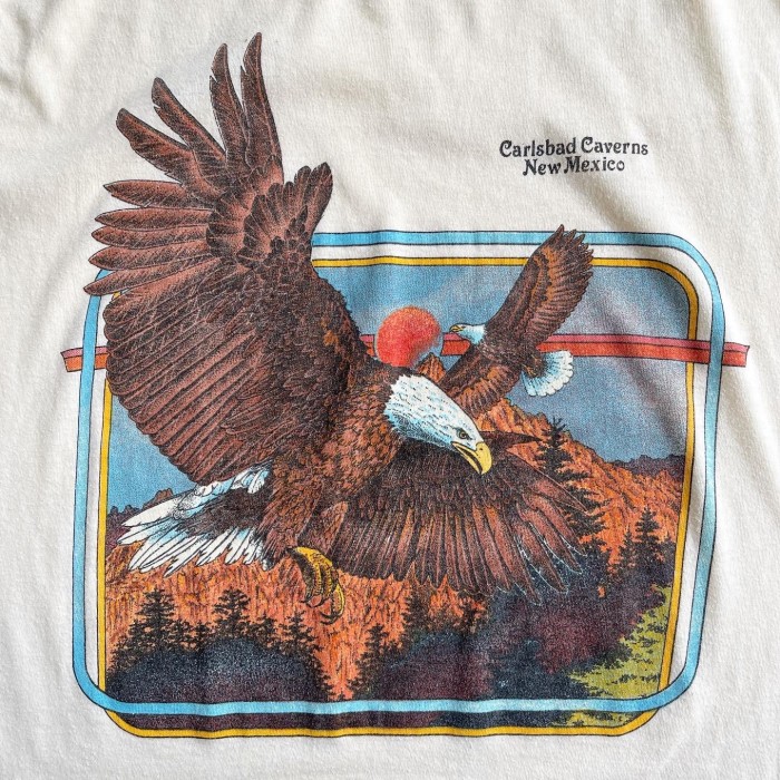 1980s New Mexico  Souvenir T-shirt Sherry MADE IN USA 【L】 | Vintage.City 빈티지숍, 빈티지 코디 정보