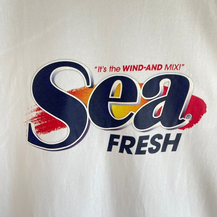 WIND AND SEA ウィンダンシー Tシャツ L センターロゴ プリント ...