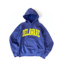 Champion “DELAWARE” Hoodie 00s (Size M) | Vintage.City ヴィンテージ 古着