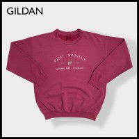 【GILDAN】ロッキーマウンテン国立公園 刺繍 アーチロゴ スウェット 古着 | Vintage.City ヴィンテージ 古着