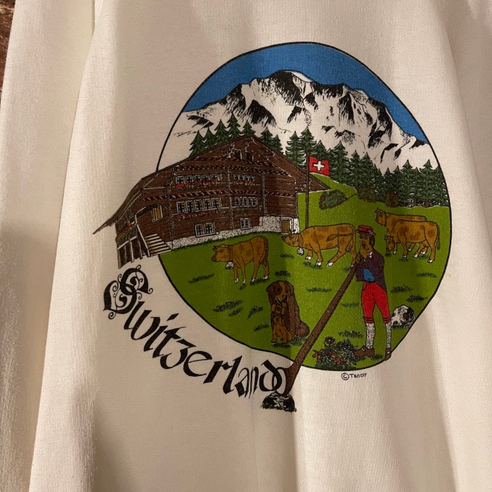 90’s US design スウェット Switzerland | Vintage.City 古着屋、古着コーデ情報を発信