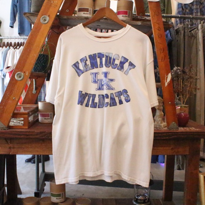 KENTUCKY WILDCATS GILDAN HEAVY COTTON 袖裾ダブル | Vintage.City 빈티지숍, 빈티지 코디 정보