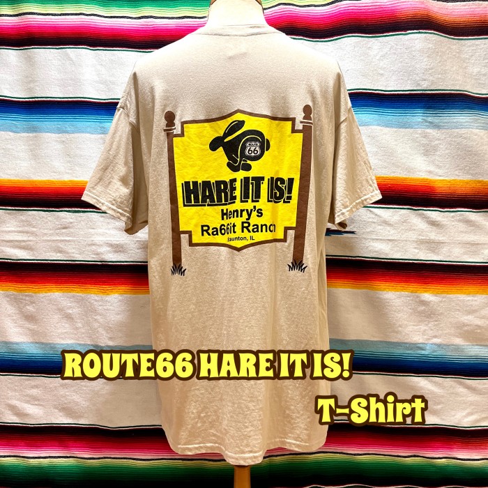 ROUTE66 HARE IT IS！ Tシャツ | Vintage.City 빈티지숍, 빈티지 코디 정보