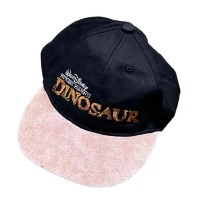 00s Disney dinosaur cap ディズニー　ダイナソー　キャップ　ツートン　 | Vintage.City 古着屋、古着コーデ情報を発信