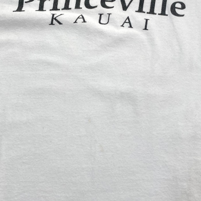 90's Princeville Kauai Tシャツ / シングルステッチ | Vintage.City 빈티지숍, 빈티지 코디 정보