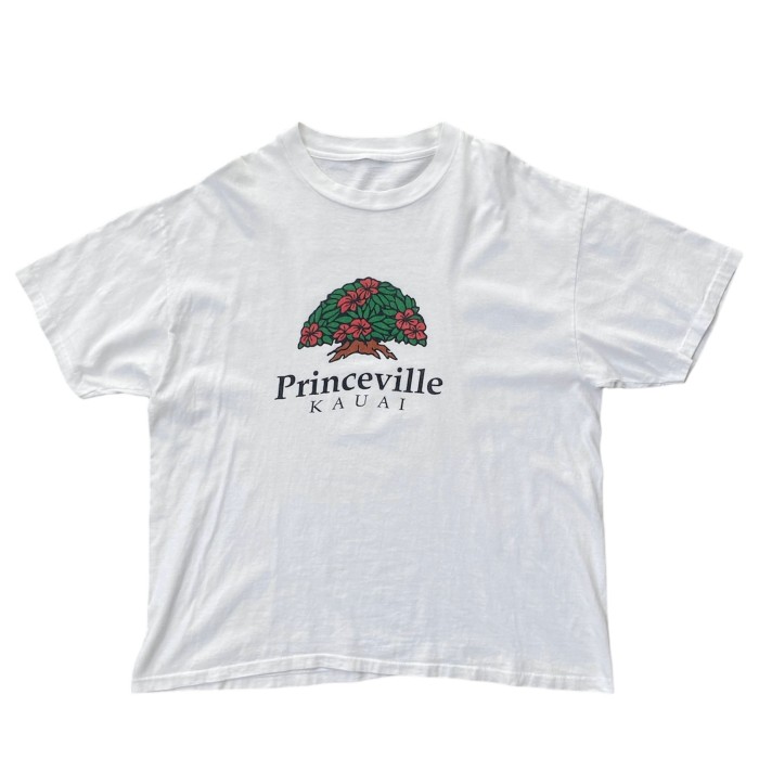 90's Princeville Kauai Tシャツ / シングルステッチ | Vintage.City 빈티지숍, 빈티지 코디 정보