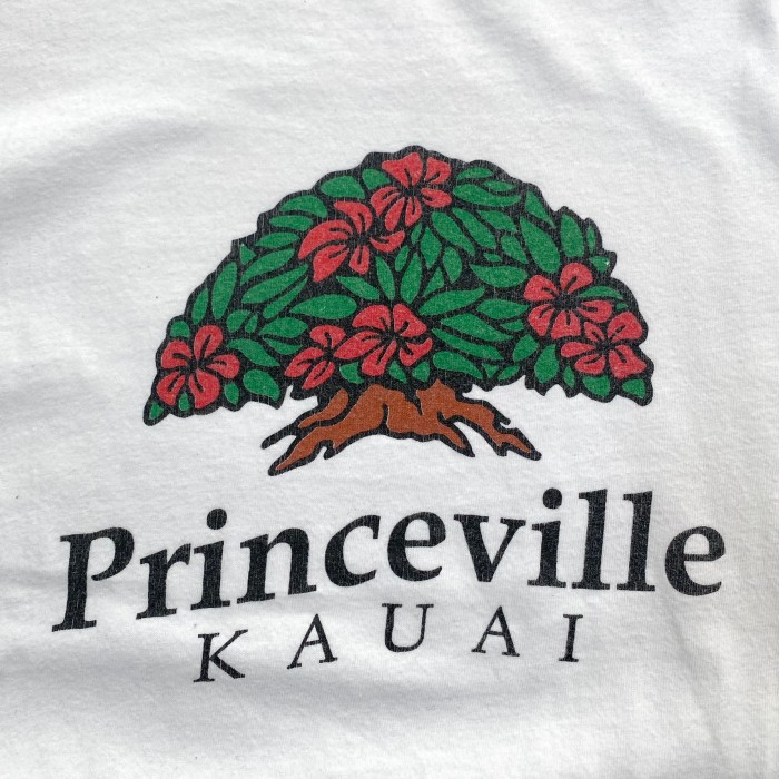 90's Princeville Kauai Tシャツ / シングルステッチ | Vintage.City Vintage Shops, Vintage Fashion Trends