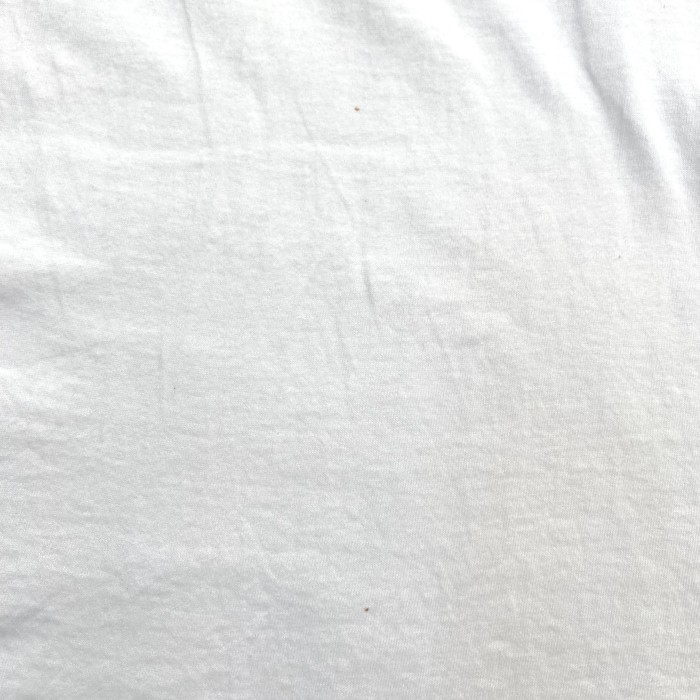 90's PetSmart printed Tシャツ / フルーツオブザルーム USA製 シングルステッチ | Vintage.City 빈티지숍, 빈티지 코디 정보