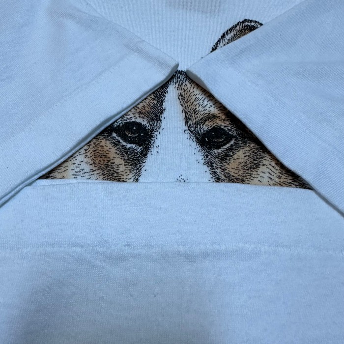 90’s　USA製　フルーツオブザルーム　コーギーペンブローク　犬　tシャツ | Vintage.City 빈티지숍, 빈티지 코디 정보