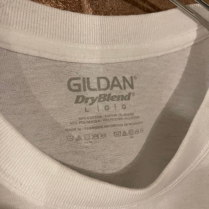 GILDAN Delaware State university HORNETS カレッジTシャツ 白T | Vintage.City 古着屋、古着コーデ情報を発信