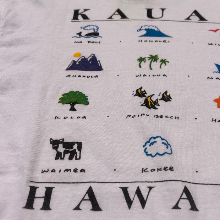 80's Hanes BEEFY -T  KAUAI HAWAII | Vintage.City 古着屋、古着コーデ情報を発信