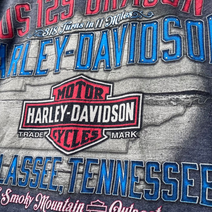 HARLEY-DAVIDSONのプリントT | Vintage.City 古着屋、古着コーデ情報を発信