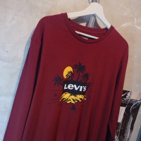 Levi’s(リーバイス)　ロンT　XLサイズ　バーガンディー系　コットン　エジプト　2790 | Vintage.City 古着屋、古着コーデ情報を発信