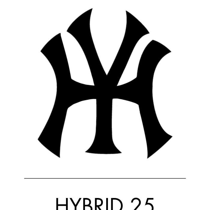 HYBRID.25 | Vintage.City seller's notice